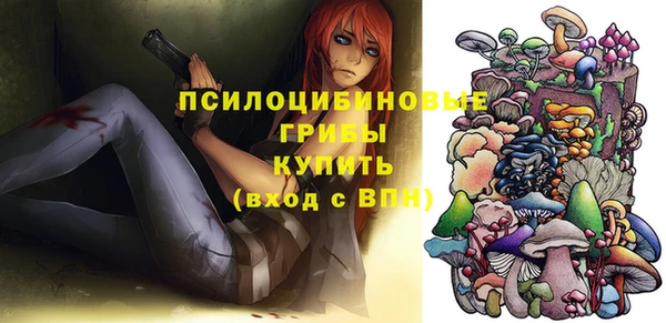 бошки Бугульма