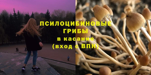 бошки Бугульма