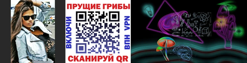 ОМГ ОМГ онион  даркнет сайт  Ярославль  Галлюциногенные грибы Cubensis 